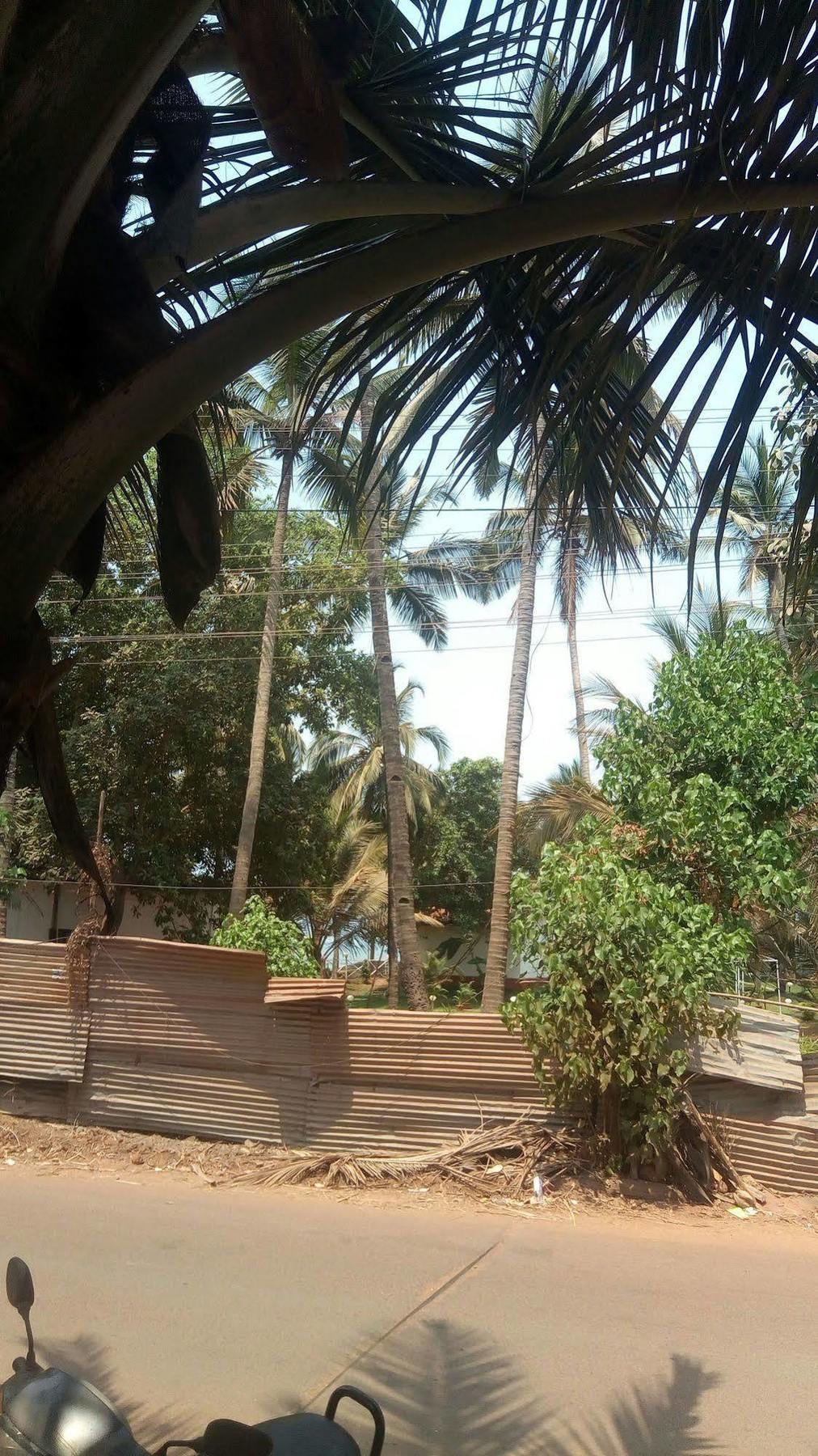 Hotel Shiva Ashvem Ashvem Beach 외부 사진