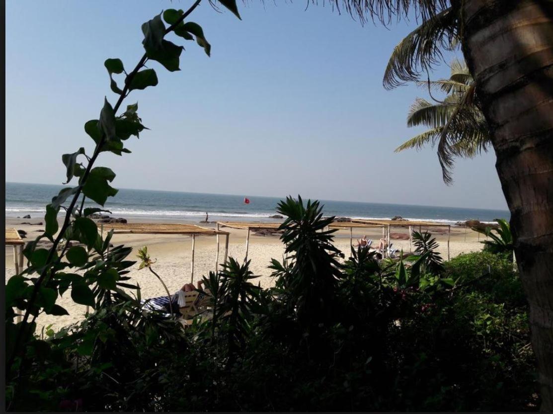 Hotel Shiva Ashvem Ashvem Beach 외부 사진